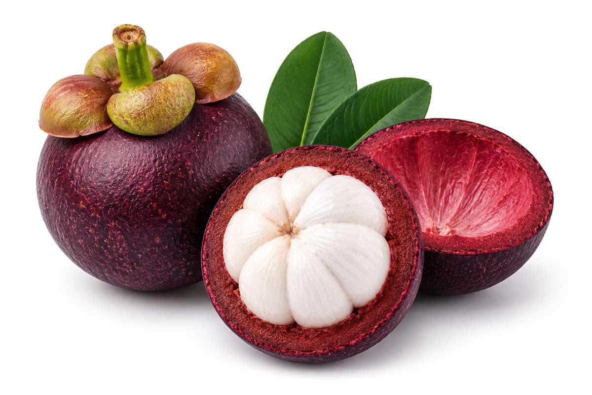 Mangosteen